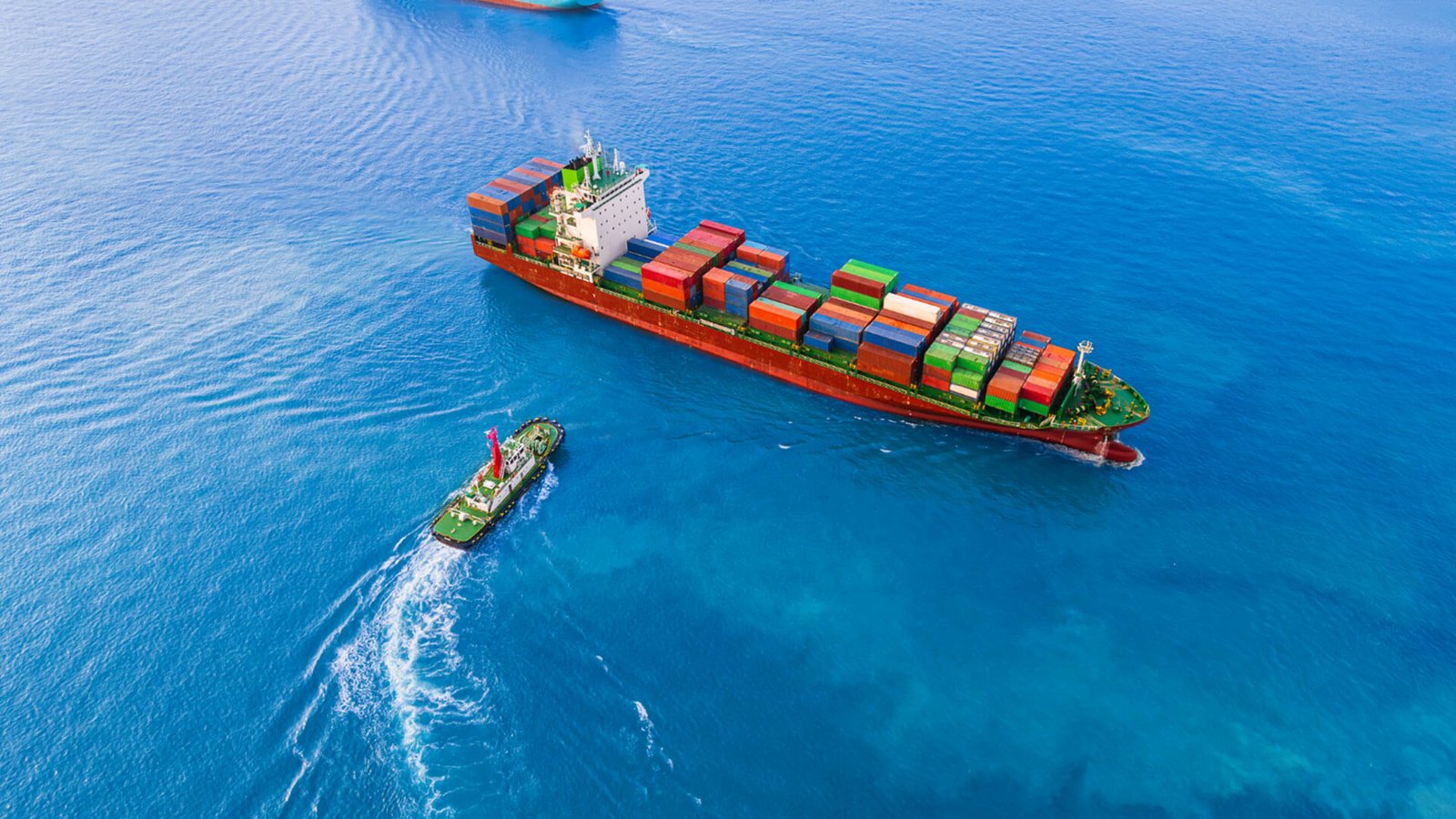 China to USA DDP Container Shipping