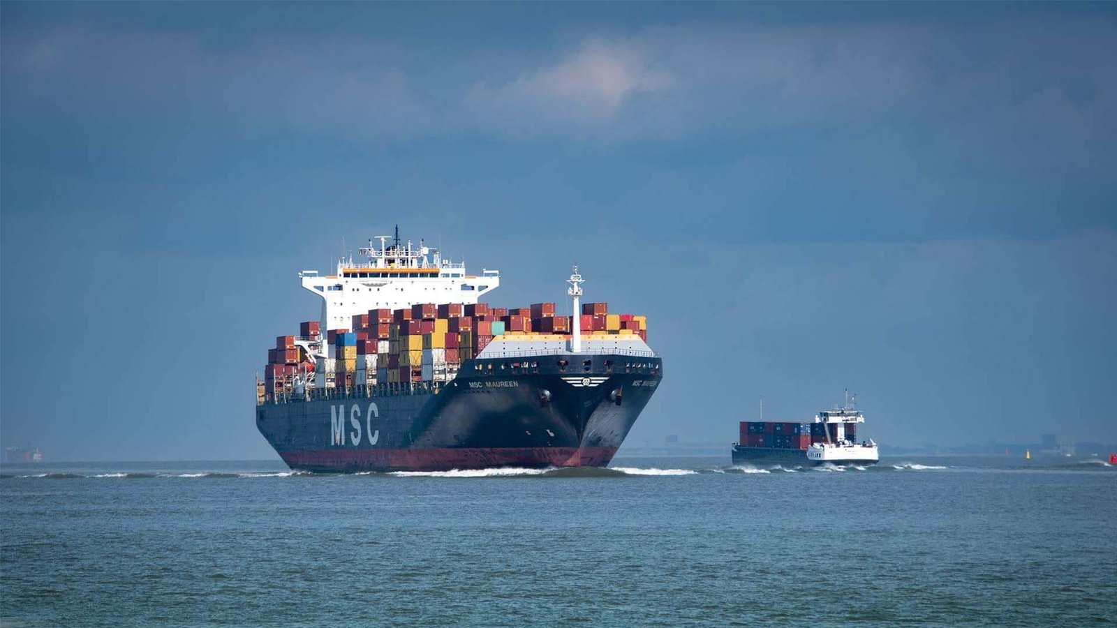 ACE Export Request EIN Reports