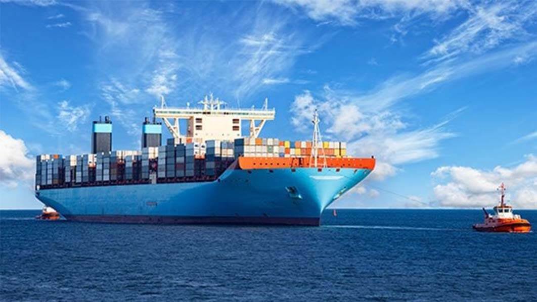 Container Sizes